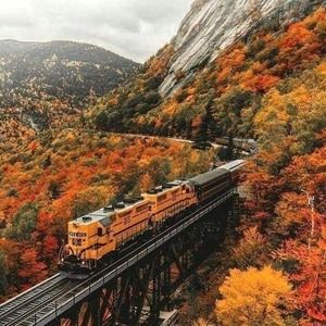 Meet your Posher, Kelsi